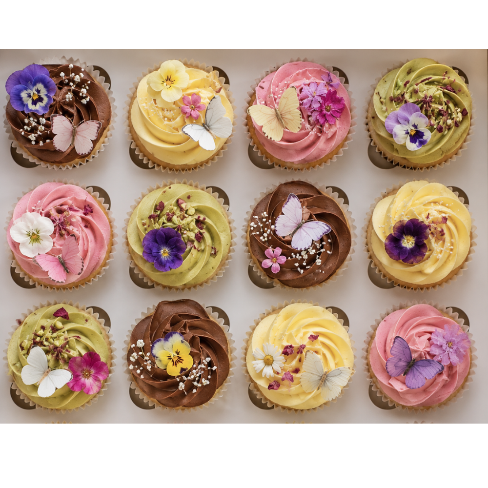 Box of 12 Cupcakes